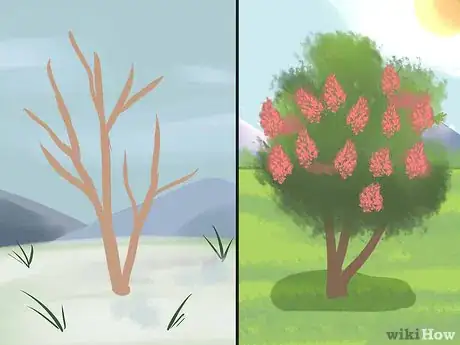 Imagen titulada Prune a Crepe Myrtle Step 2