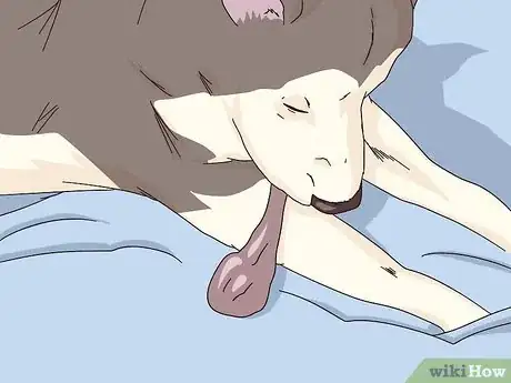 Imagen titulada Monitor the Stages of Labor in Dogs Step 10
