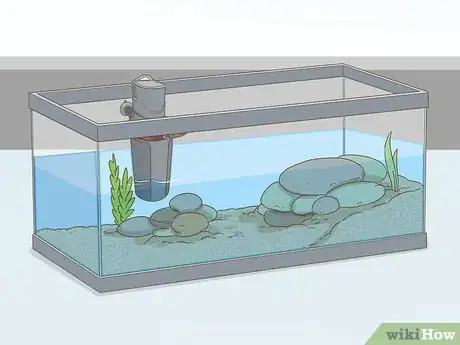 Imagen titulada Care for a Red Eared Slider Turtle Step 10