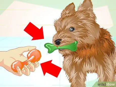 Imagen titulada Keep Your Yorkie's Teeth Clean Step 16