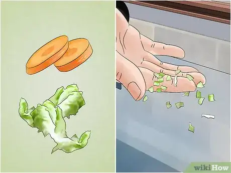 Imagen titulada Care for Mystery Snails Step 10