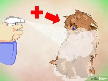 Imagen titulada Make a Kitten Like Water Step 12