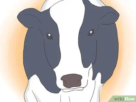 Imagen titulada Run a Cattle Ranch Step 13