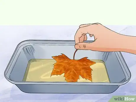 Imagen titulada Preserve Fall Leaves Step 8