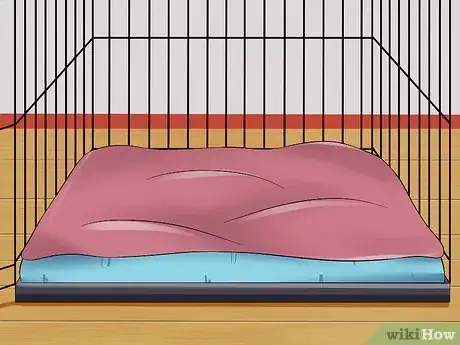 Imagen titulada Prevent a Dog from Defecating in its Crate Step 3
