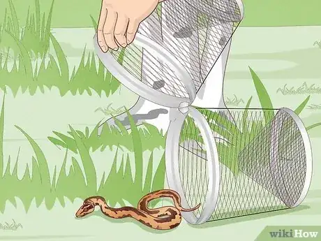 Imagen titulada Trap a Snake Step 9