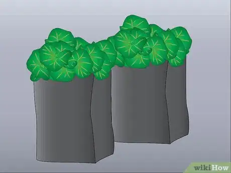 Imagen titulada Train Cucumbers Step 1
