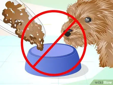 Imagen titulada Keep Your Yorkie's Teeth Clean Step 15