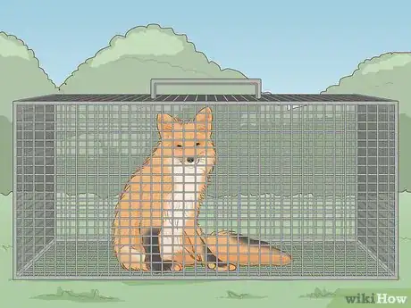 Imagen titulada Catch a Fox Step 11