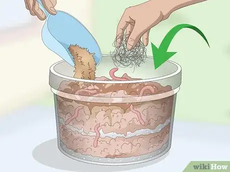 Imagen titulada Feed Worm Farm Worms Step 3