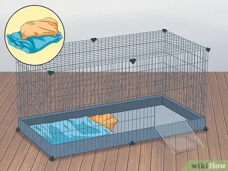 Imagen titulada Tame a Hedgehog Step 3