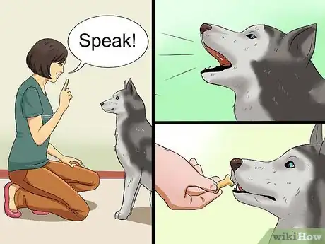 Imagen titulada Teach Your Dog to Speak Step 7