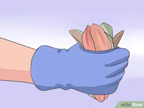 Imagen titulada Save a Dying Rose Bush Step 1
