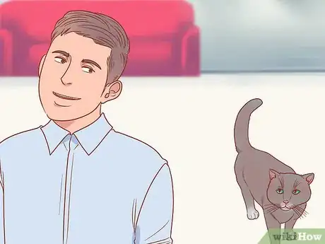 Imagen titulada Greet a Cat Step 12