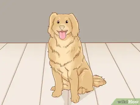 Imagen titulada Get Rid of Ringworm in Dogs Step 7