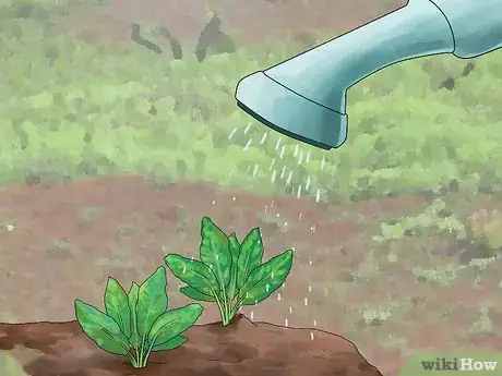 Imagen titulada Be a Farmer Step 16