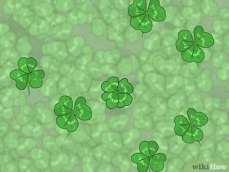 Imagen titulada Find a Four Leaf Clover Step 9