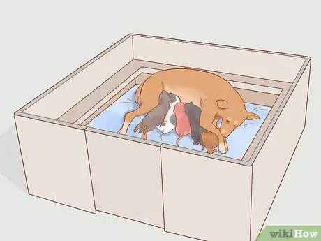 Imagen titulada Separate Puppies from their Mother Step 2