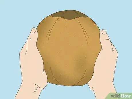 Imagen titulada Harvest a Coconut Step 2