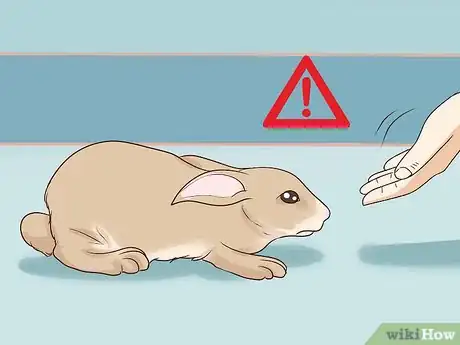 Imagen titulada Pet a Rabbit Step 5