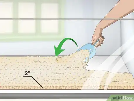 Imagen titulada Keep a Bullhead Catfish Step 2