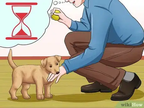 Imagen titulada Get Your Puppy to Stop Biting Step 10