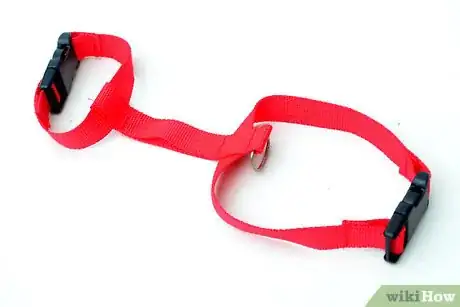 Imagen titulada Put on a Cat Harness Step 9