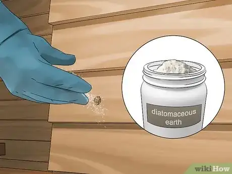 Imagen titulada Get Rid of Wood Bees Naturally Step 6