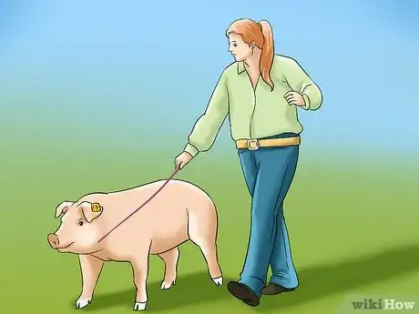 Imagen titulada Show Your Pigs Step 12