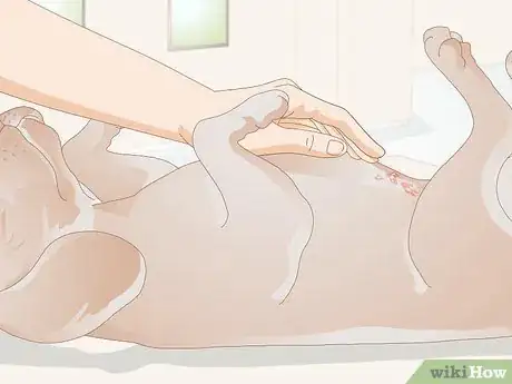 Imagen titulada Get Rid of a Rash on a Dog Step 9