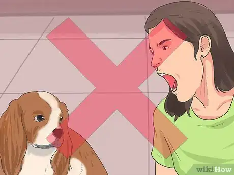 Imagen titulada Train Cavalier King Charles Spaniels Step 14