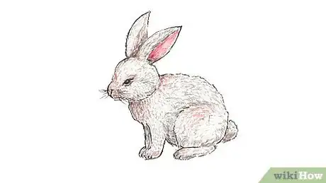 Imagen titulada Draw a Bunny Step 6