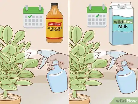 Imagen titulada Get Rid of Powdery Mildew on Plants Step 7