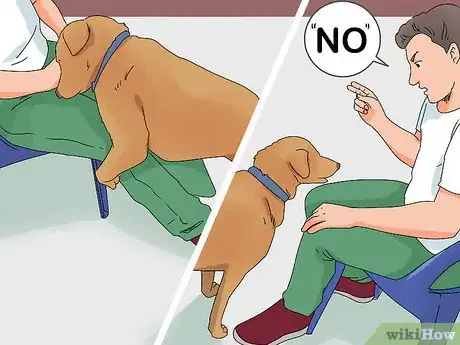 Imagen titulada Help a Dog in Heat Step 13