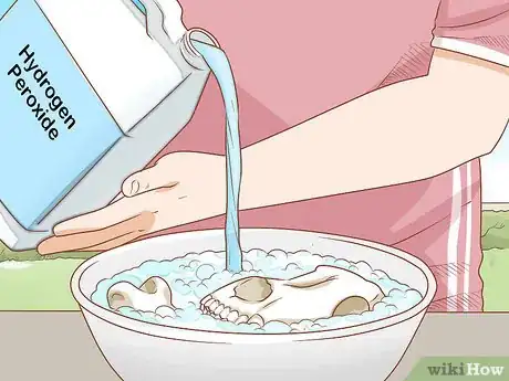 Imagen titulada Clean Bones Step 11