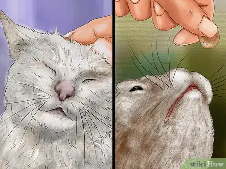 Imagen titulada Encourage a Cat to Use Its Bed Step 8