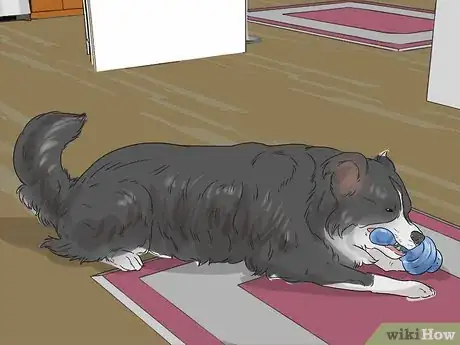 Imagen titulada Deal with Your Annoying Dog Step 6