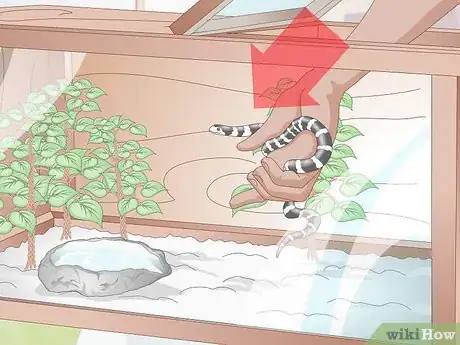Imagen titulada Build a Snake Cage Step 13