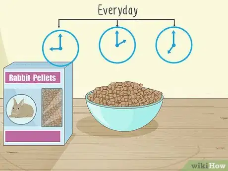 Imagen titulada Care for a New Pet Rabbit Step 13