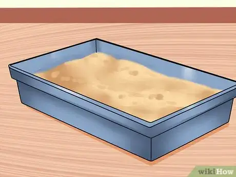 Imagen titulada Care for Indoor Cats Step 4