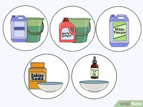 Imagen titulada Kill Black Mold Step 9