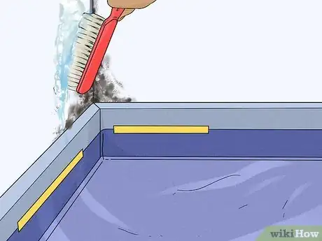 Imagen titulada Kill Black Mold Step 8