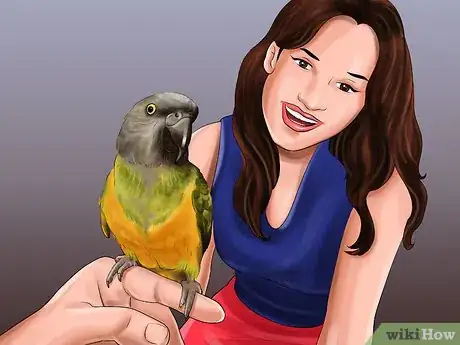 Imagen titulada Know if a Senegal Parrot Is Right for You Step 3