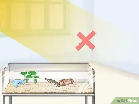 Imagen titulada Keep a Bullhead Catfish Step 7