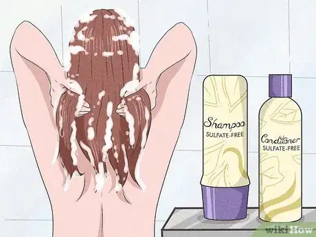Imagen titulada Have Great Hair Step 1