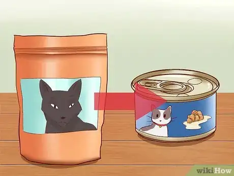Imagen titulada Cure a Cat of Constipation Step 14