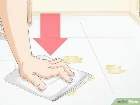 Imagen titulada Clean up After Your Guinea Pig Step 3