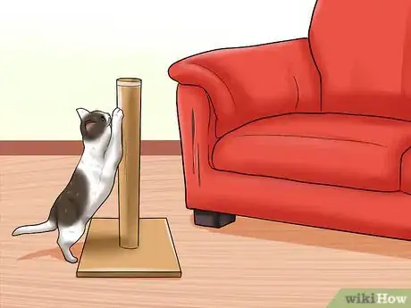Imagen titulada Care for Indoor Cats Step 7
