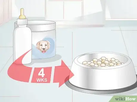 Imagen titulada Feed Newborn Puppies Step 5