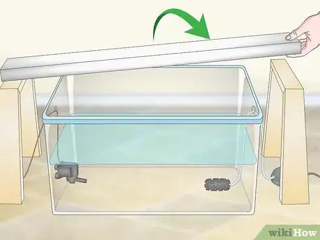 Imagen titulada Build a Hydroponics System Step 16